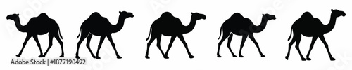 Arabian Camel Silhouette Vector