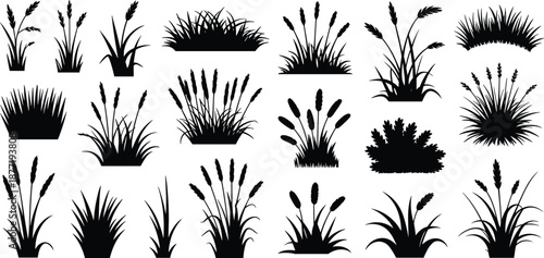 Black grass and plant silhouette icons in grid layout showcasing diverse foliage shapes for botanical, landscaping, and design illustration