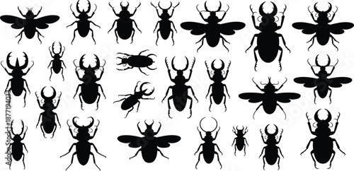 Black insect silhouette icons featuring beetles and flying species in grid layout for entomology, design reference, and educational illustration