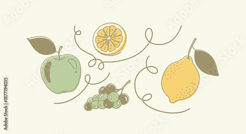 Delicate fruit illustration featuring apple lemon grapes and orange slice art design