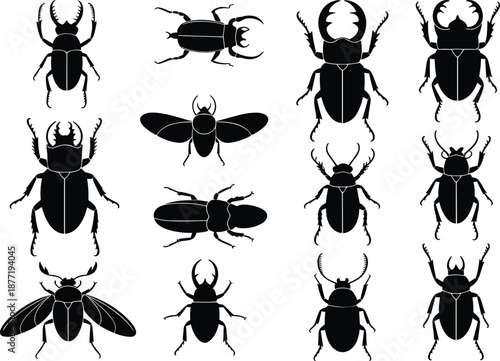 Beetle insect silhouettes set featuring stag beetles and flying bugs, entomology collection of black bug icons illustration isolated on white background