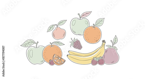 Elegant line art illustration of assorted fruits promoting healthy eating concept