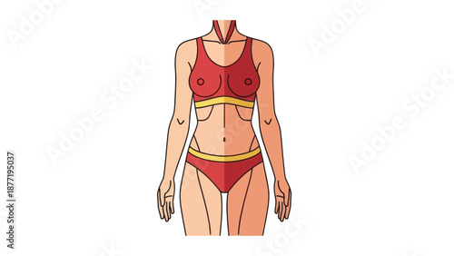 Female Body Contouring Illustration
