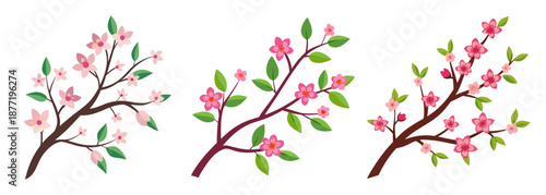 Three vibrant cherry blossom branches with pink flowers and green leaves
