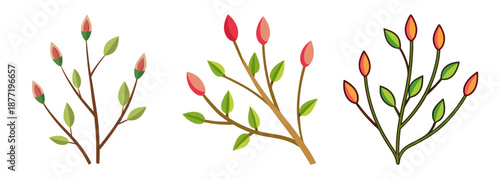 Illustrations of three colorful spring branches with buds and leaves