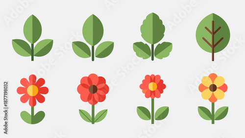 Colorful garden scene with assorted flowers, leaves, and leafy plants arranged in a neat row.