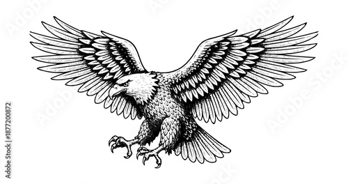 Eagle engraving illustration for corporate emblem branding