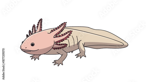 Cute Axolotl Cartoon Illustration