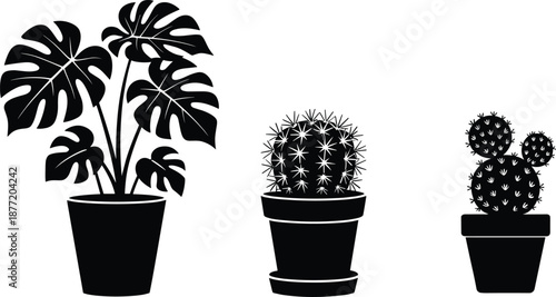Potted plant silhouette set, Monstera and cactus vector, black botanical clipart, indoor foliage design elements, houseplant icons
