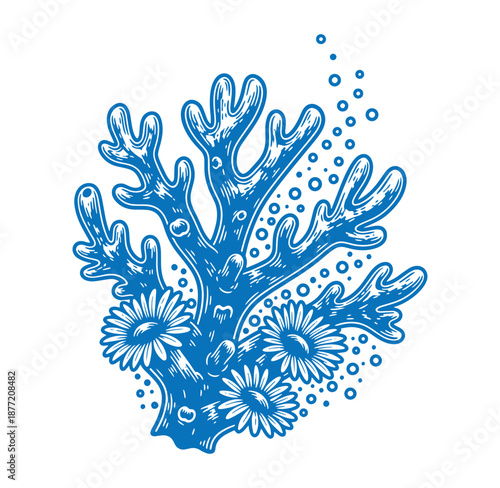 blue coral reef with flowers and bubbles in the ocean water  marine life