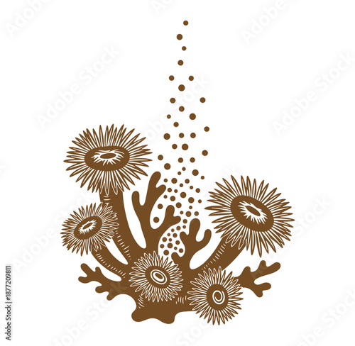 Brown coral reef with sea anemones and bubbles rising up isolated on white background