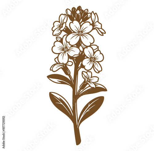 Brown floral illustration of a blooming plant with multiple small flowers and leaves