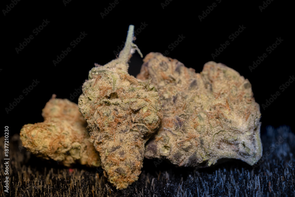 Obraz premium Studio close-up of medical cannabis flower and preparation details, including texture and plant material processing, presented in controlled lighting for healthcare, research, and alternative medicine