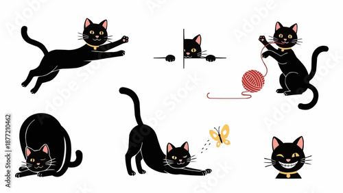 Collection of playful black cats in various poses and activities.