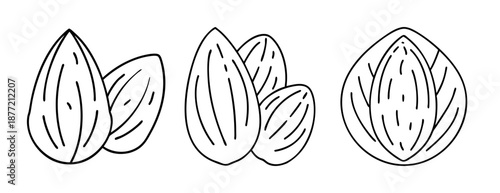 Black and white line art illustration of several peeled almond nuts