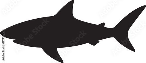 A dangerous great white shark predator silhouette and black shark vector illustration swimming in the blue ocean water, isolated on white background as a wild marine animal nature art