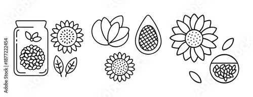 Collection of minimalist sunflower and seed pod line art on a crisp white