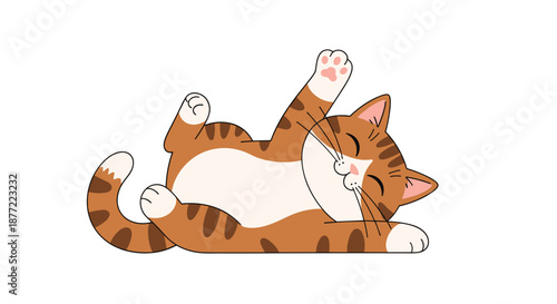 Adorable ginger tabby cat lying on its back and playing with its paws showing its belly and a happy expression.