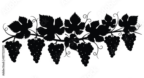 Detailed vine and grape clusters design with elegant leaves and bunches a striking silhouette