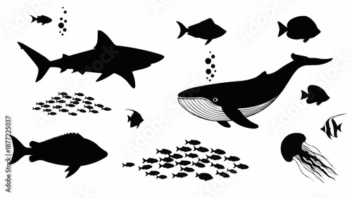 Collection of Silhouetted Marine Life and Fish.
