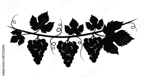 A detailed depiction of grape vines with bunches of grapes in black silhouette