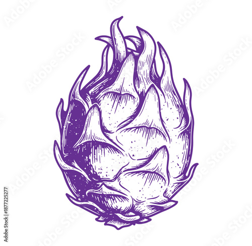 Purple artichoke flower with flame design on transparent background