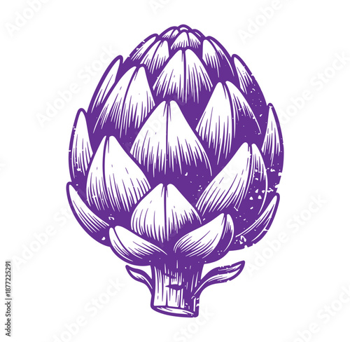 Purple artichoke illustration with detailed leaves and stem on white background