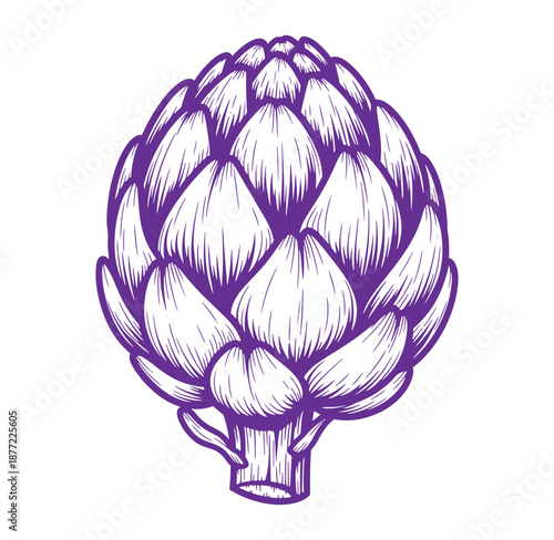 Purple artichoke illustration with detailed lines and shading on white background