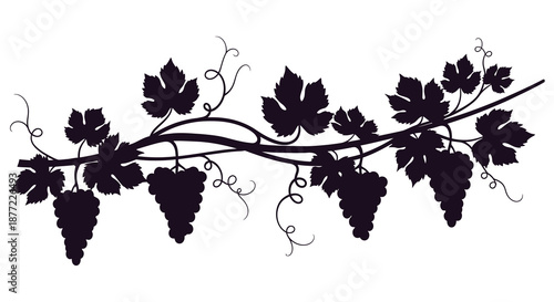 a dark purple grapevine with leaves and grapes silhouette high quality professional detailed