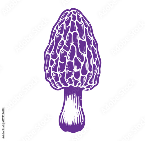 Purple morel mushroom illustration with white outline and stem on white background