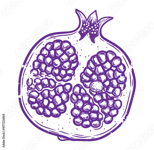 Purple pomegranate fruit illustration with seeds exposed  healthy food concept