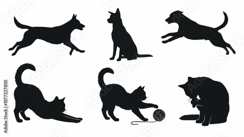 Collection of Silhouettes of Dogs and Cats in Various Poses.