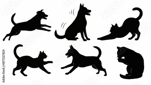 Collection of Silhouettes of Dogs and Cats in Various Poses.