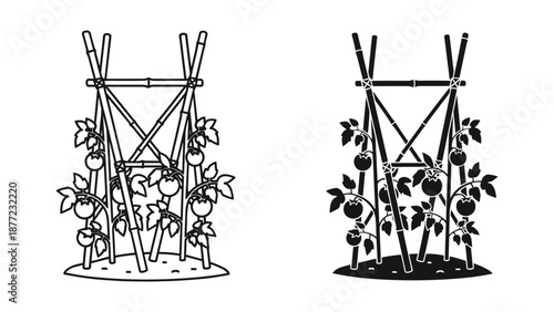 Climbing Plant Trellis Illustration for Gardening