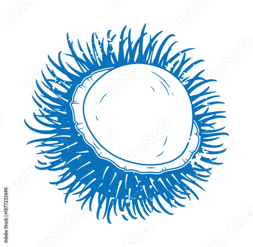 Blue sea urchin illustration with spines and shell on white background