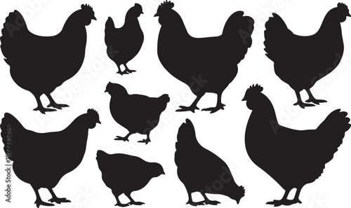 Chicken Silhouettes Set Black Vector Collection Hen Rooster Chick Farm Bird Icons Pack, black and white silhouette, vector and illustration	