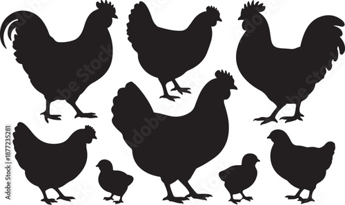 Chicken Silhouettes Set Black Vector Collection Hen Rooster Chick Farm Bird Icons Pack, black and white silhouette, vector and illustration	