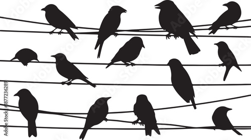 Bird Silhouettes on Wires Set Black Vector Collection, black and white silhouette, vector and illustration	