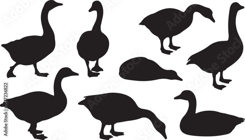 Goose Silhouettes Set Black Vector Collection, black and white silhouette, vector and illustration	