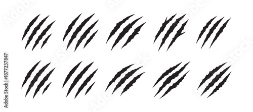 beast claw mark bundle collections