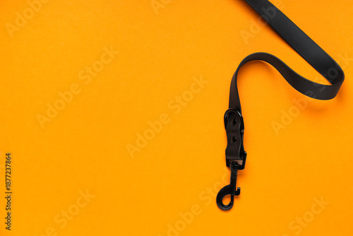 Black dog lead on orange ba...