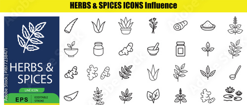 Set of Outline for Herbs and Spices on White Background line culinary