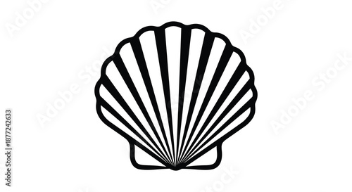A striking black and white illustration of a scallop shell beautifully rendered as a silhouette