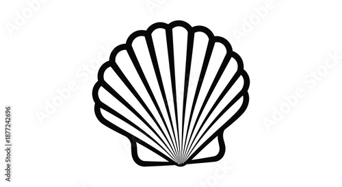 A striking black outline of a seashell displaying radial symmetry and a beautiful silhouette