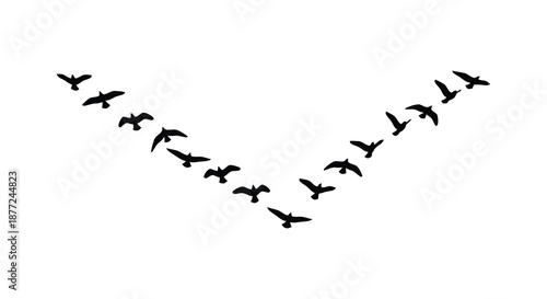 A flock of birds in flight forming a diagonal line a striking black silhouette