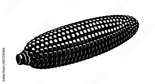Detailed illustration of a corn cob with numerous kernels presented as a striking silhouette