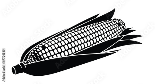 A striking black and white illustration of an ear of corn detailed and bold silhouette