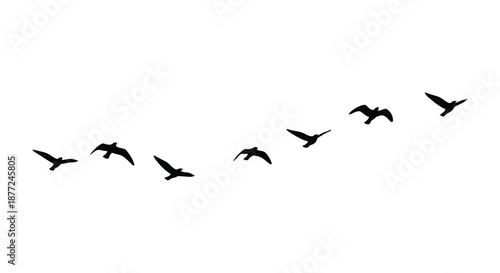 A flock of birds in flight against a bright background a striking silhouette