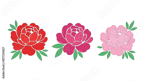 Three stylized peonies in red, magenta, and pink with green leaves against a white background.