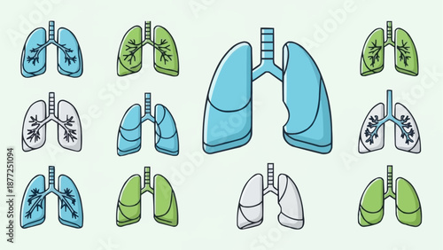 Collection of stylized human lungs illustrations in various colors.